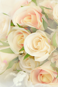 玫瑰花束用软焦点颜色作为背景进行筛选
