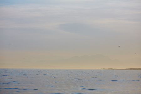 在南非海景观