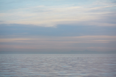 在南非海景观