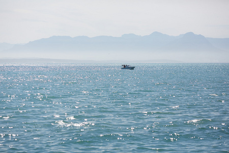 在南非海景观