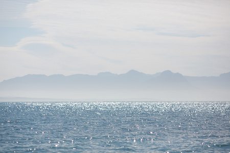 在南非海景观