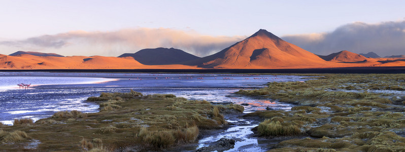 科罗拉多礁湖和火山高原，玻利维亚 Pabellon，