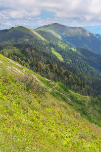 美丽的风景，与小山和山峦