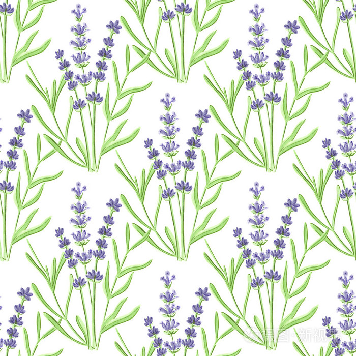 薰衣草. 与花的无缝图案. 手绘原始图案