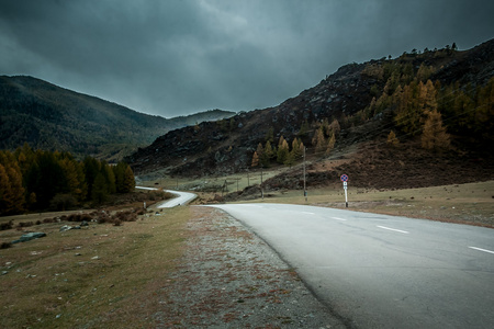 阿尔泰山路图片