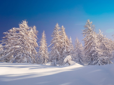 傅高义滑雪中心 Julian 阿尔卑斯山区附近的冬季景观