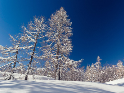 傅高义滑雪中心 Julian 阿尔卑斯山区附近的冬季景观