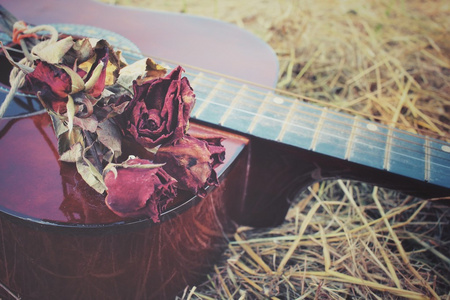吉他与朵风干的玫瑰