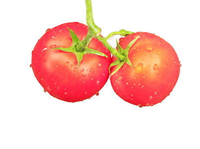 两个红色的西红柿孤立