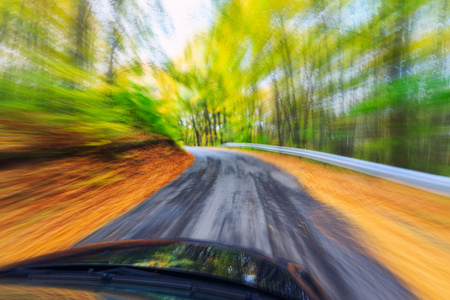汽车驾驶快速地进入森林