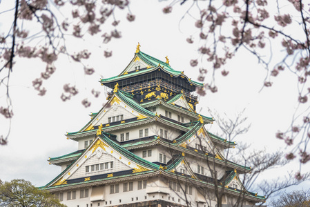 日本大阪城堡的樱花。日本春季视图