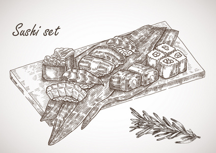 手绘寿司中的素描样式设置.矢量图照片