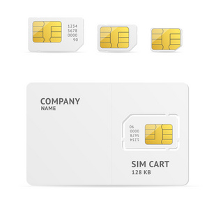 Sim 卡设置。矢量