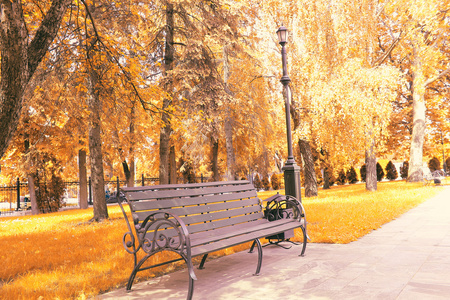在一个秋天的公园长椅