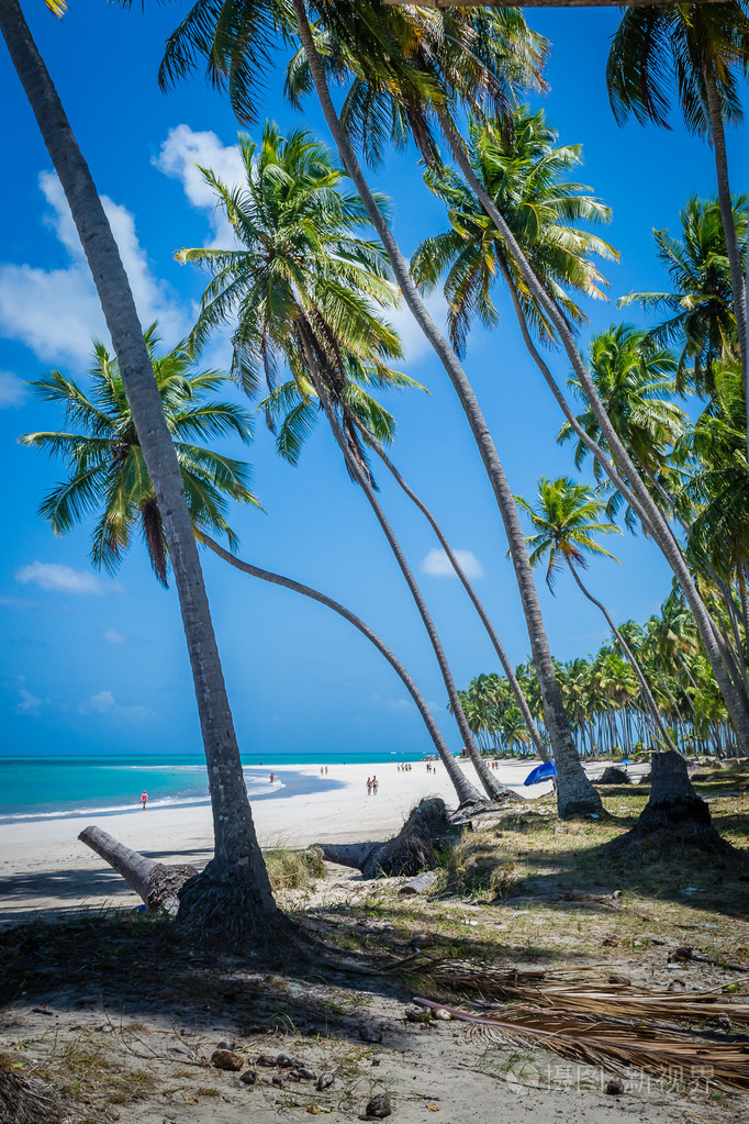 巴西海滩-普拉亚 de carneiros,伯南布哥