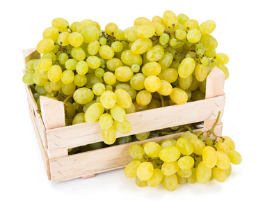木箱白葡萄 葡萄