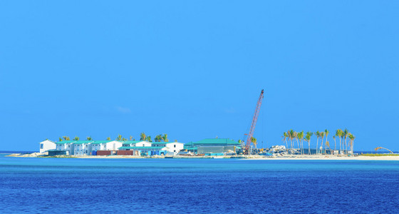 海滩和热带海