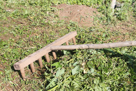 木制的老铲子在修剪割草