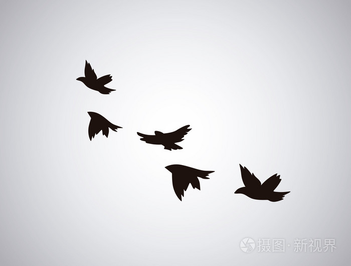 在白色背景上飞鸟的向量轮廓.纹身