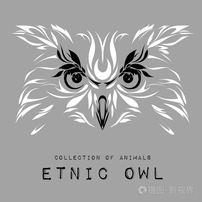 民族图案白色灰色的背景上的猫头鹰的头 / 非洲 / 印度 / 图腾 / 纹身