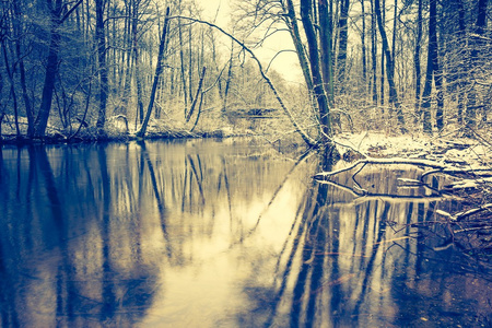 在冬天的森林的河流的旧照片