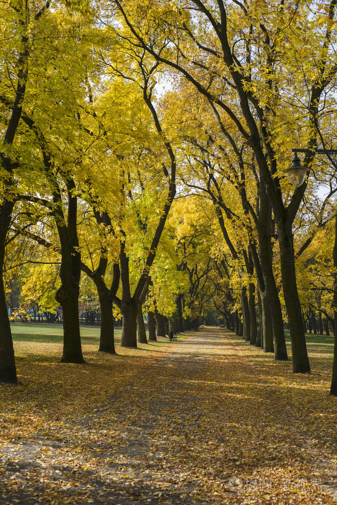 城市公园的秋天