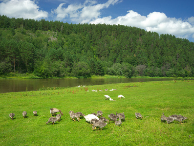俄罗斯,南乌拉尔照片