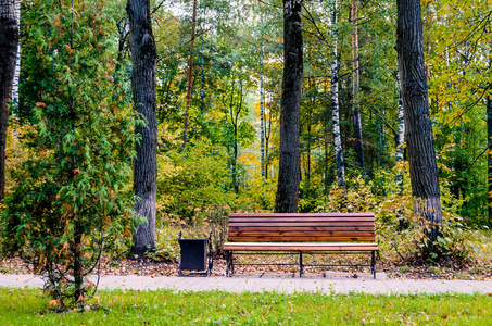 空坐在公园的长椅美丽梦幻般的女孩坐在公园的长椅上老人坐在公园长椅