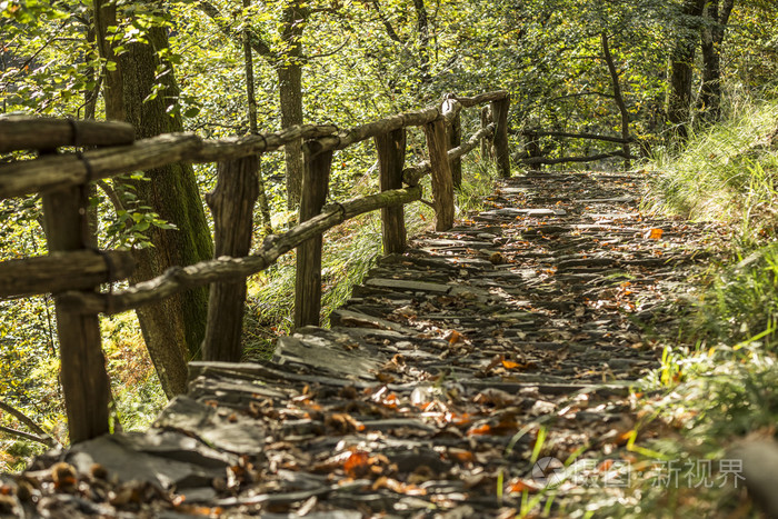 美丽的秋天森林山间小道在日落时