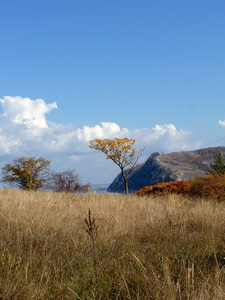 zhiguli mountains 