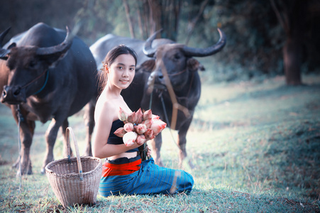 泰国古代年轻女性的水牛在农村图片