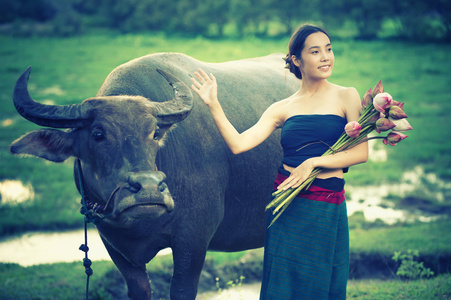 泰国古代年轻女性的水牛在农村图片