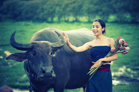 泰国古代年轻女性的水牛在农村