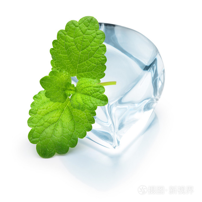 薄荷叶冰多维数据集