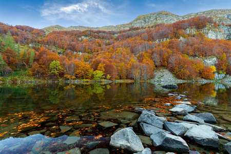 深秋的湖水中的颜色