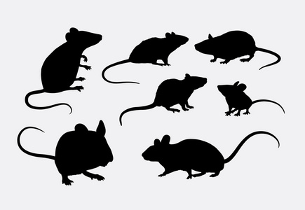 大鼠和小鼠的剪影