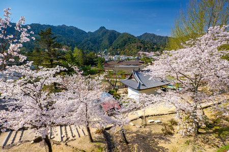 严岛神社