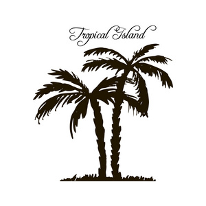热带小岛，棕榈树剪影