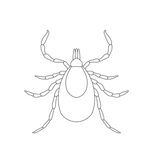 蜱虫的寄生虫.刻度线的剪影.螨.孤立在白色背景上的刻度线.