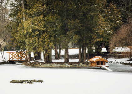 筑巢在多雪的冬季公园水禽框