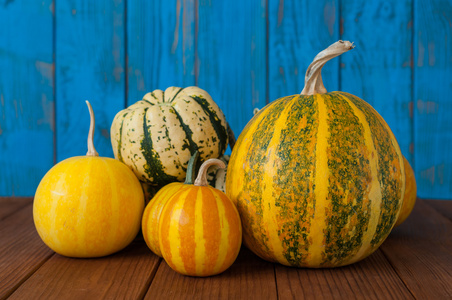 不同种类的南瓜作为季节性秋季装饰照片