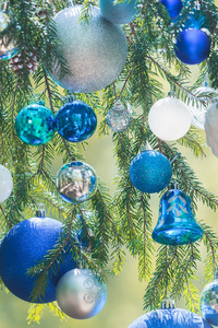 圣诞节色调的蓝色颜色自然云杉枝上挂的伽玛小玩意
