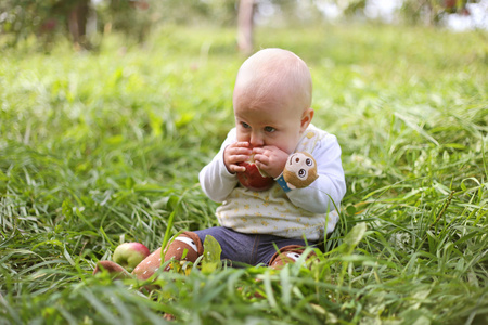 小女孩在苹果园吃水果