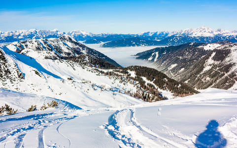 在晨曦中西部阿尔卑斯滑雪区。美丽的冬天景观