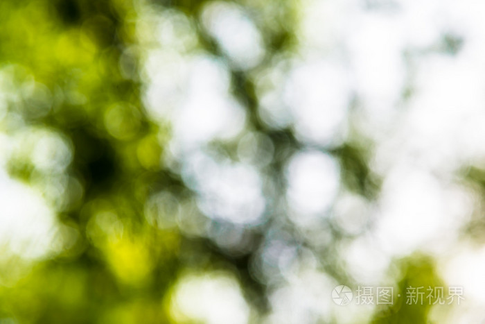 绿色户外森林背景的脱脂博克模糊照片-正版商用图片1ka3sj-摄图新视界
