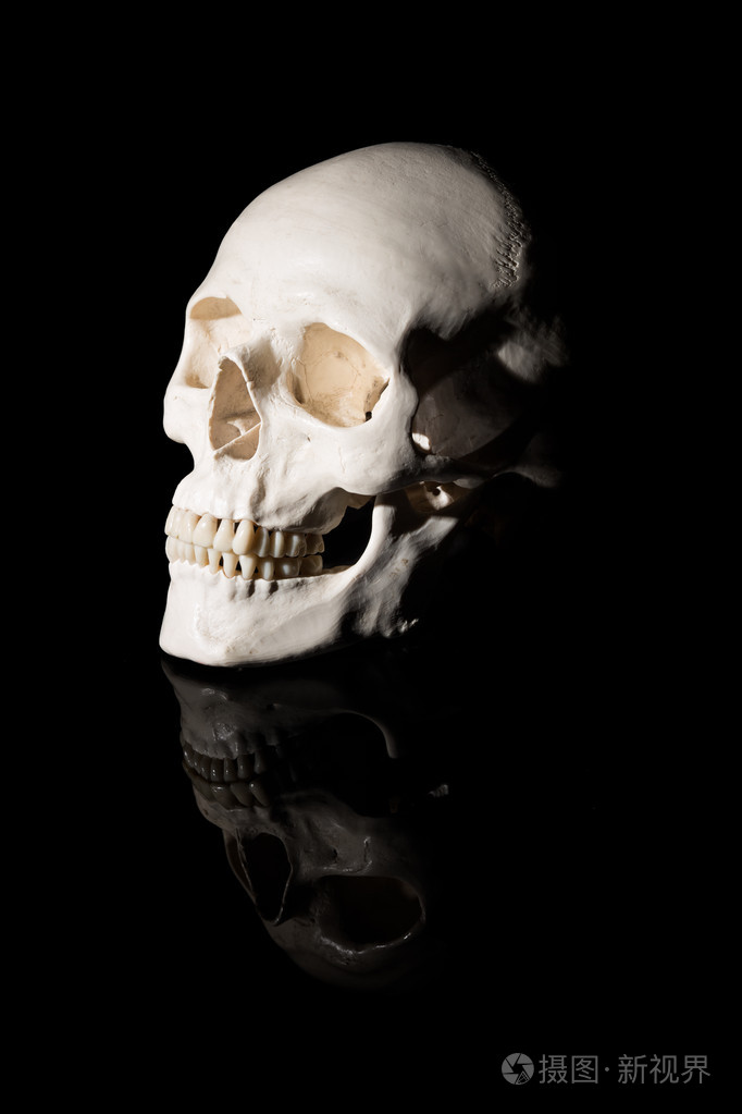 黑色背景上的人类头骨