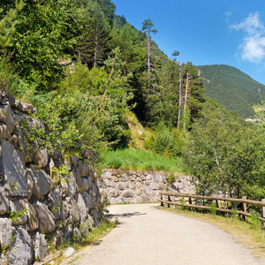 在山里行走步道的旅游