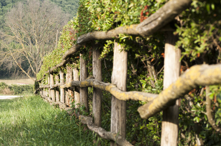 篱笆栅栏图片大全