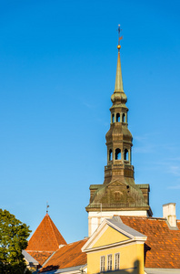 屋顶的老镇塔林爱沙尼亚