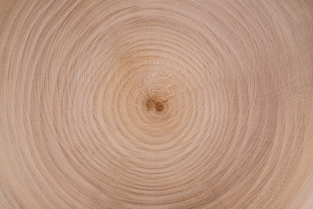 砍木头，圆圈纹理